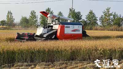 移動物聯(lián)網(wǎng)應(yīng)用①｜手機上種田，無人化種田！智慧農(nóng)場“智”在哪？